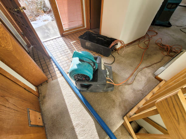 Best Basement water damage restoration  in Countryside, IL