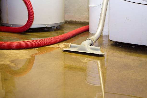 Best Water damage cleanup near me  in Countryside, IL