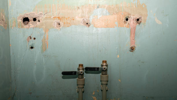 Best Water damage restoration mold remediation  in Countryside, IL