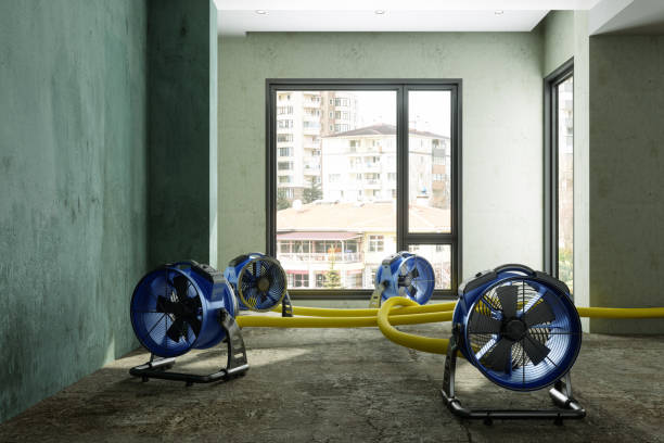 Trusted Countryside, IL Water damage restoration Experts