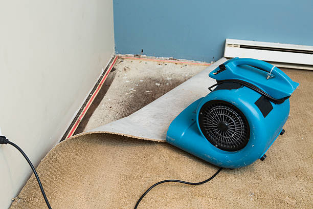 Best Professional water damage repair  in Countryside, IL